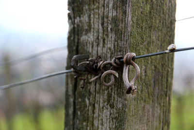 Close-up of rusty hooks hanging from wire by wooden post