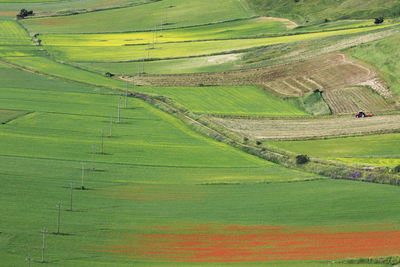 High angle view of agricultural field