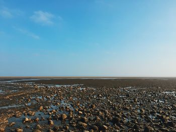 Scenic view of beach against clear sky