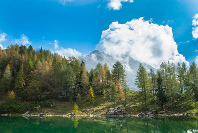 Scenic view of lake and trees against sky