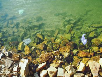 Aerial view of sea and rocks with piece of plastic bags floating on water