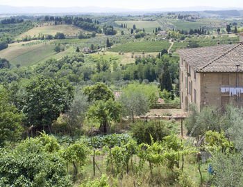 Scenic view of trees and houses on field