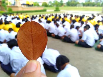 Group of people holding leaves during autumn