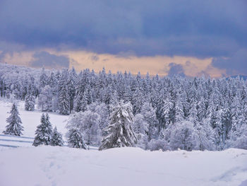 Snow covered land and trees against sky during winter