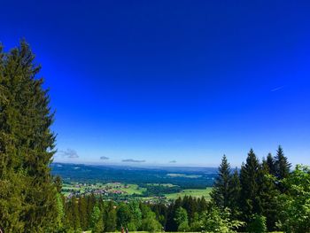 Scenic view of landscape against clear blue sky