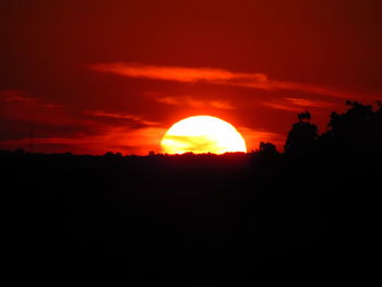 Silhouette trees against orange sky