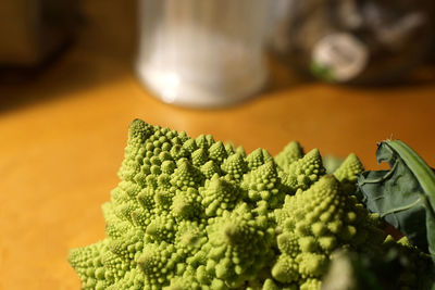 Close-up of vegetables on table