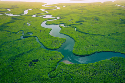 High angle view of golf course by lake