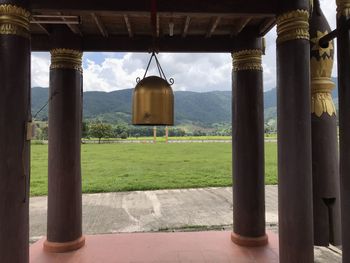 Plants growing on field by building against sky