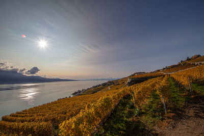 Scenic view of lake against sky