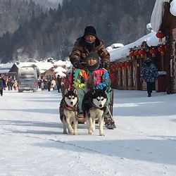 People with dog in snow