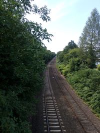 Railroad track passing through forest