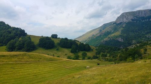 Scenic view of landscape against sky