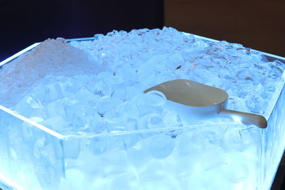 Close-up of jellyfish in water