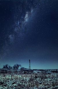 Low angle view of starry sky