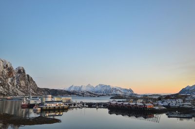 Sailboats moored at harbor against clear sky