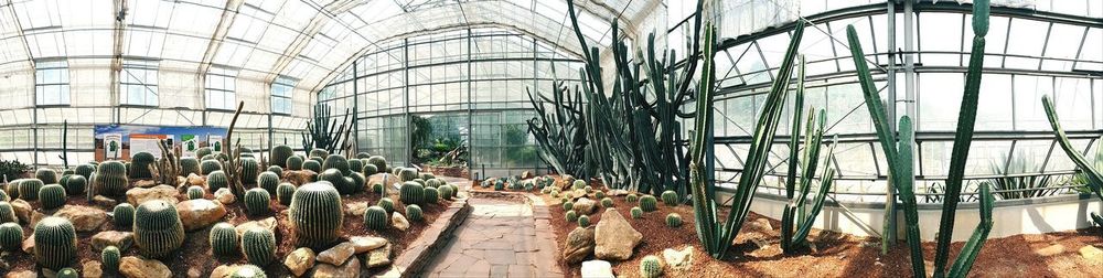 Group of people in greenhouse