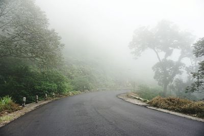 Country road amidst trees against sky