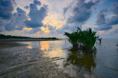 Scenic view of sea against sky at sunset