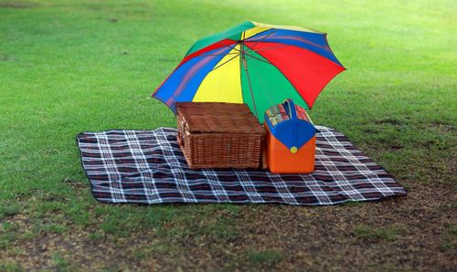 Picnic basket with umbrella on mat at grassland