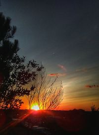 Silhouette tree against sky during sunset