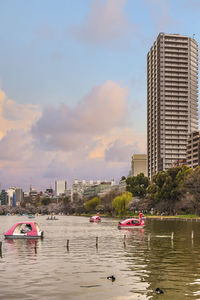 Ducks floating on water in front of duck-shaped pedalos driven by couples on shinobazu pond