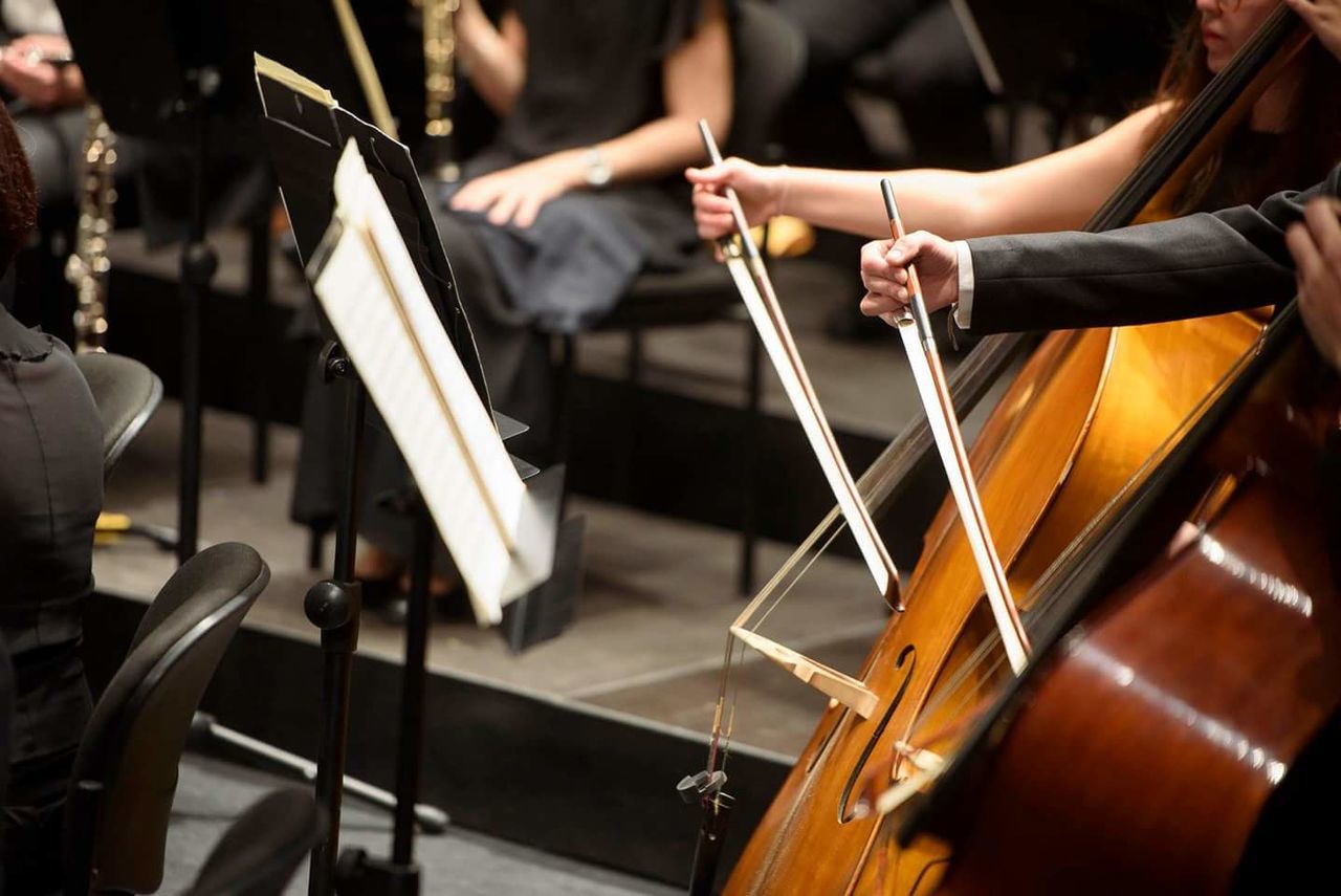 human body part, human hand, women, musical instrument, hand, group of people, focus on foreground, music, adult, real people, arts culture and entertainment, indoors, body part, holding, string instrument, men, playing, people, performance, orchestra, bow - musical equipment