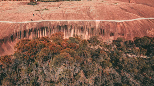 High angle view of trees on landscape