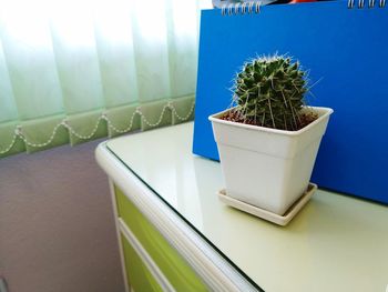 Close-up of potted plants on window sill