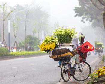 Bicycle parked on road against trees in city