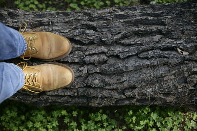 Low section of person standing on tree trunk