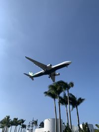 Low angle view of bird flying against sky