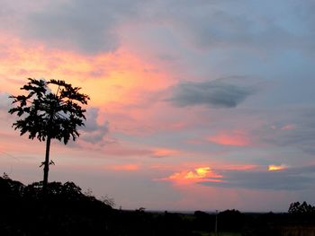 Silhouette tree against dramatic sky