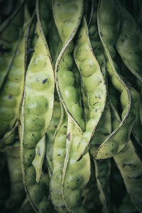 Full frame shot of green leaves