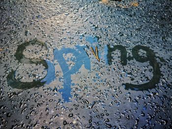 High angle view of raindrops on puddle