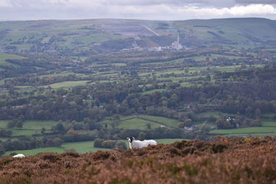 Scenic view of landscape