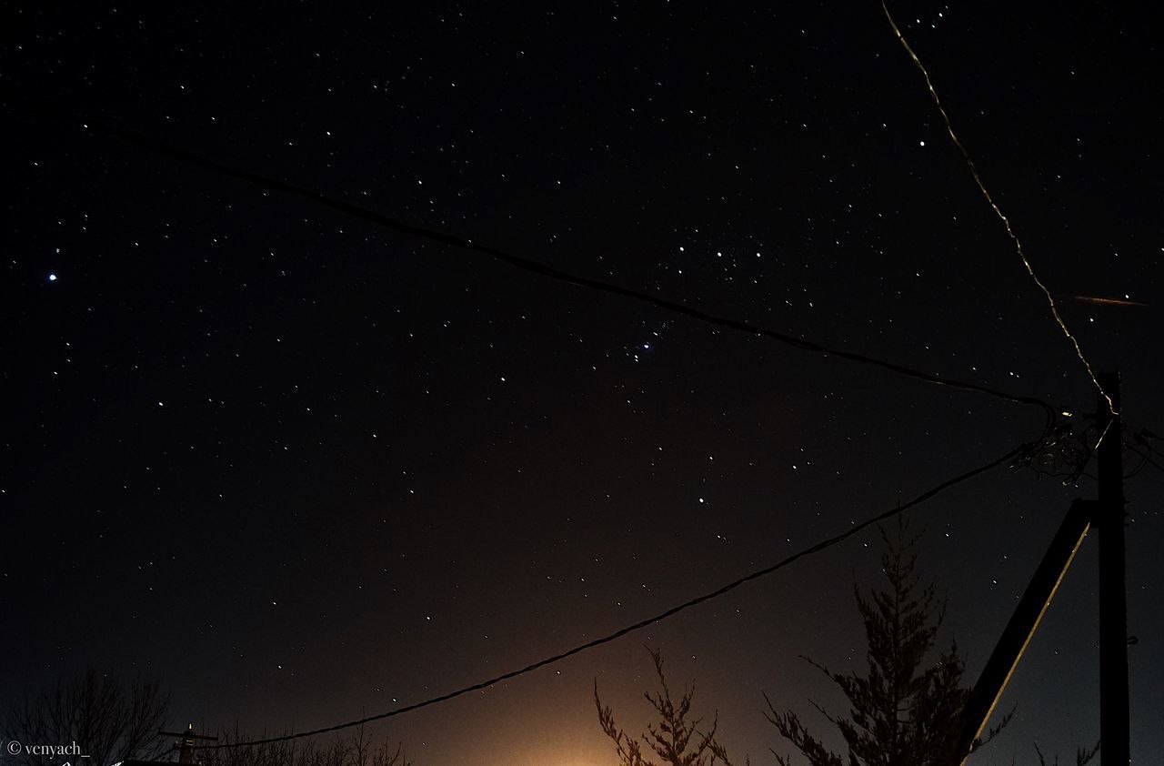 LOW ANGLE VIEW OF SILHOUETTE TREES AGAINST STAR FIELD AT NIGHT