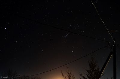 Low angle view of silhouette trees against sky at night