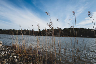 Scenic view of lake against sky