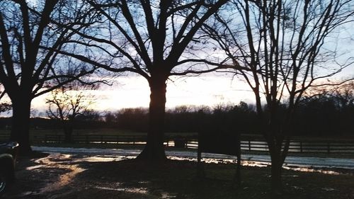 Silhouette bare trees on landscape against sky