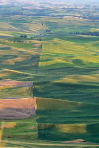 Scenic view of agricultural field