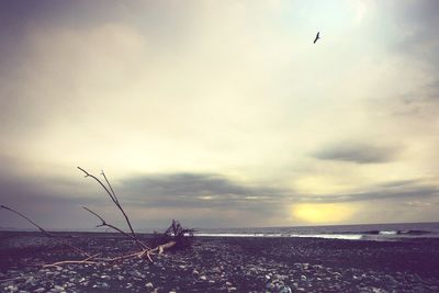 Scenic view of sea against sky at sunset