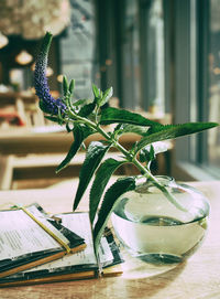 Close-up of flower vase on table at home