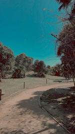 Road by trees in city against clear blue sky