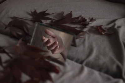 Reflection of person hand in mirror by leaves on bed