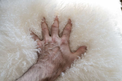 Cropped image of hand touching white fake fur pillow