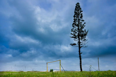 Trees on football field against sky