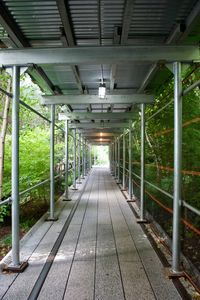 Illuminated underground walkway