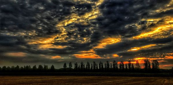 Silhouette trees on field against dramatic sky during sunset