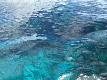 High angle view of swimming in sea